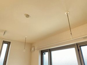 グラヴィア 301号-5