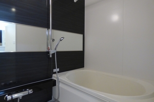 シアン・フィデール 102号-7