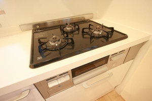 アルトゥーラ　南 101号-12