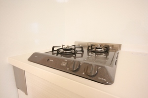 アルトゥーラ 南 302号-12