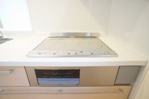 セレナ ヴィラ 101号-4