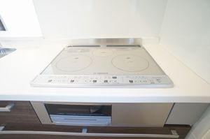 セレナ　ヴィラ 201号-4