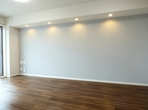 メゾンドキャプテン 303号-11