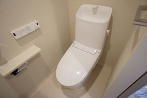 ヴィアソーレイツキ 203号-11