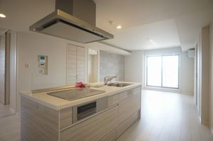 ヴィアソーレイツキ 303号-3