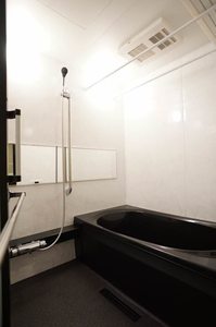 レオナ雅 103号-11