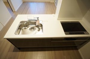 レオナ雅 205号-4