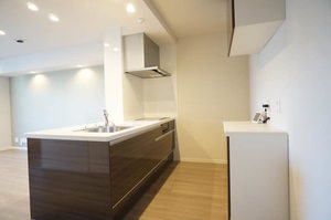 レオナ雅 305号-3