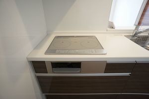 セレナ ヴィラ 302号-5