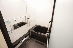 セレナ ヴィラ 302号-9