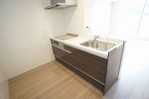 セレナ　ヴィラ 303号-3