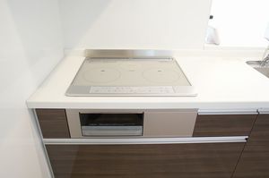 セレナ　ヴィラ 303号-4