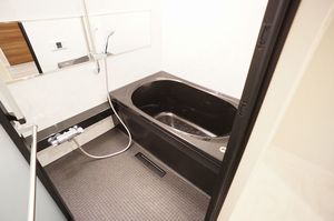 セレナ　ヴィラ 303号-10