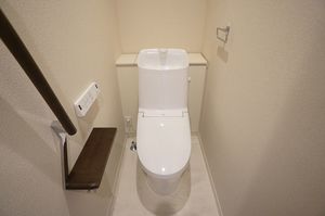 セレナ　ヴィラ 303号-11