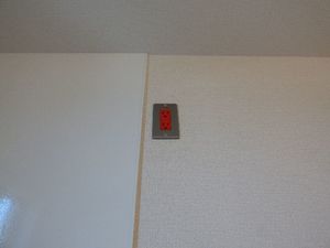 ブルーム ステージ 305号-11
