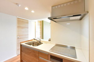 ゼフィール 306号-4