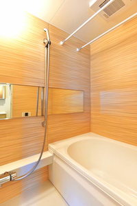 ゼフィール 306号-10