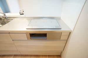 ナリッシュⅠ 302号-4