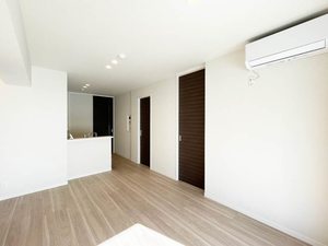 アムール　アドニス 202号-3