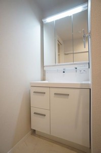 ルーエ清瀬 302号-14