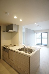 ルーエ清瀬 309号-12