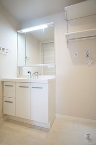 ルーエ清瀬 309号-13