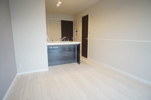 ヴィアソーレ 102号-3