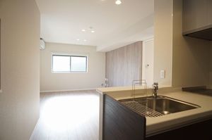 リュミエール ドゥー 201号-2