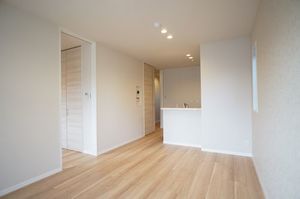 リュミエール ドゥー 203号-4