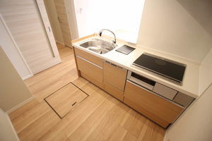 サザンクロス志木 101号-4