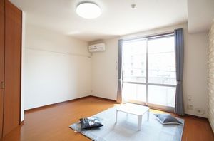 プレミールＫ 202号-6