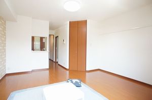 プレミールＫ 202号-7