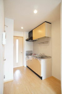 ヴィルドミール 105号-5