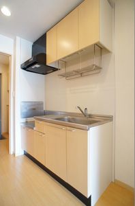 ヴィルドミール 106号-6