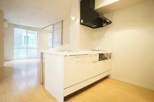 メゾン ポラリス Ⅱ 101号-3