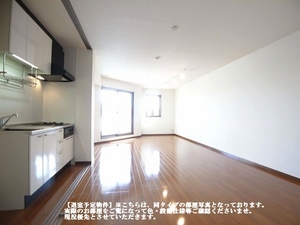 グレースランド 103号-11