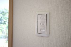 Ｗｉｓｔｅｒｉａ 102号-7