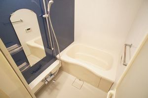 メゾン・ド・クレマティス 102号-8