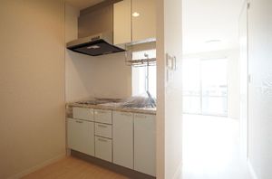 メゾン・ド・クレマティス 203号-3