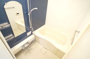 メゾン・ド・クレマティス 203号-7