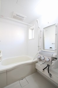 ＶＥＲＴ・ＳＯＬＥＩＬ　Ⅲ 102号-8