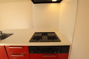 レションデュぺ－レ　Ⅴ 103号-4