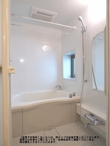 ベルーガ 207号-9