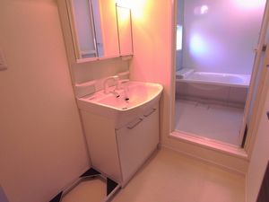 アメティスタ 203号-6