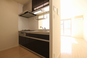 プラシードⅡ 102号-2