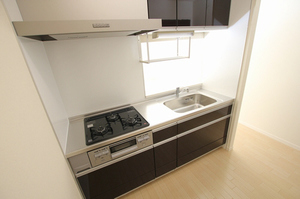 プラシードⅡ 102号-3