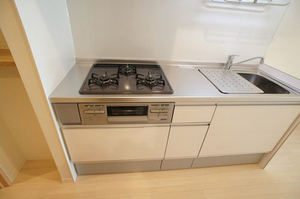 ルビコーネ川越 101号-3