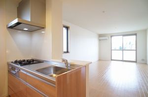 メゾン・ド・リアンS 205号-2