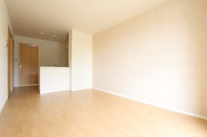 カーサ カスターニャA 106号-2