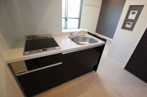 メゾン・ド・グラース　Ⅱ 101号-3